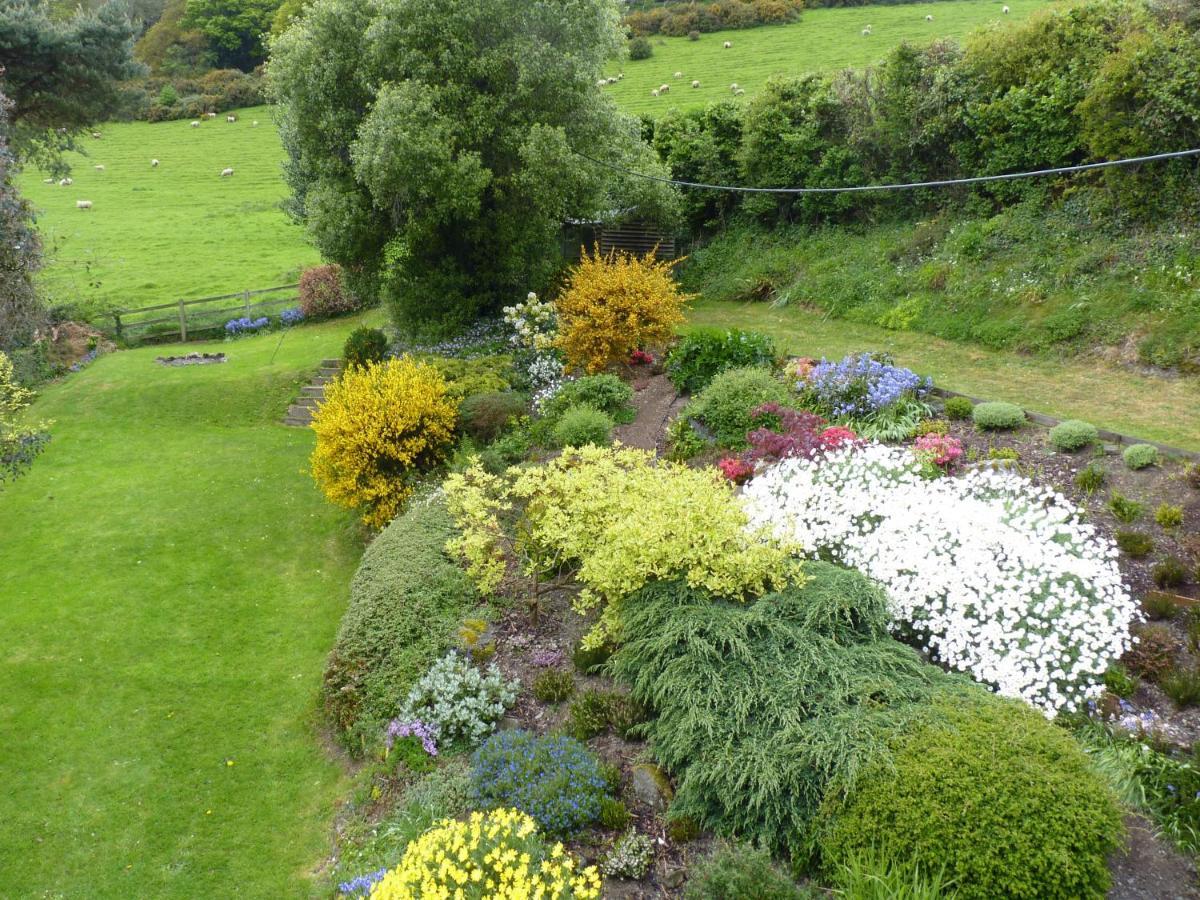 Higher Coombe Bovey Tracey Extérieur photo