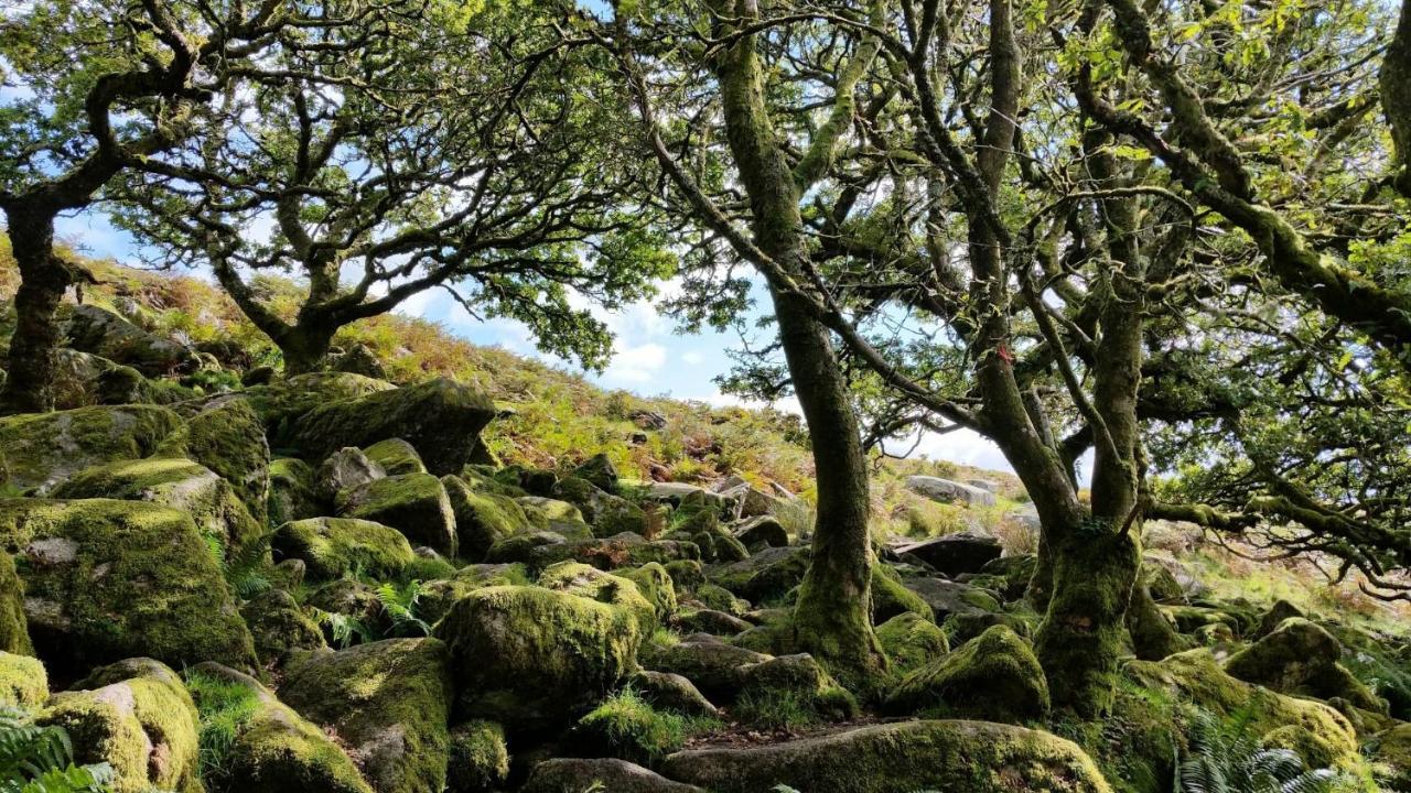 Higher Coombe Bovey Tracey Extérieur photo