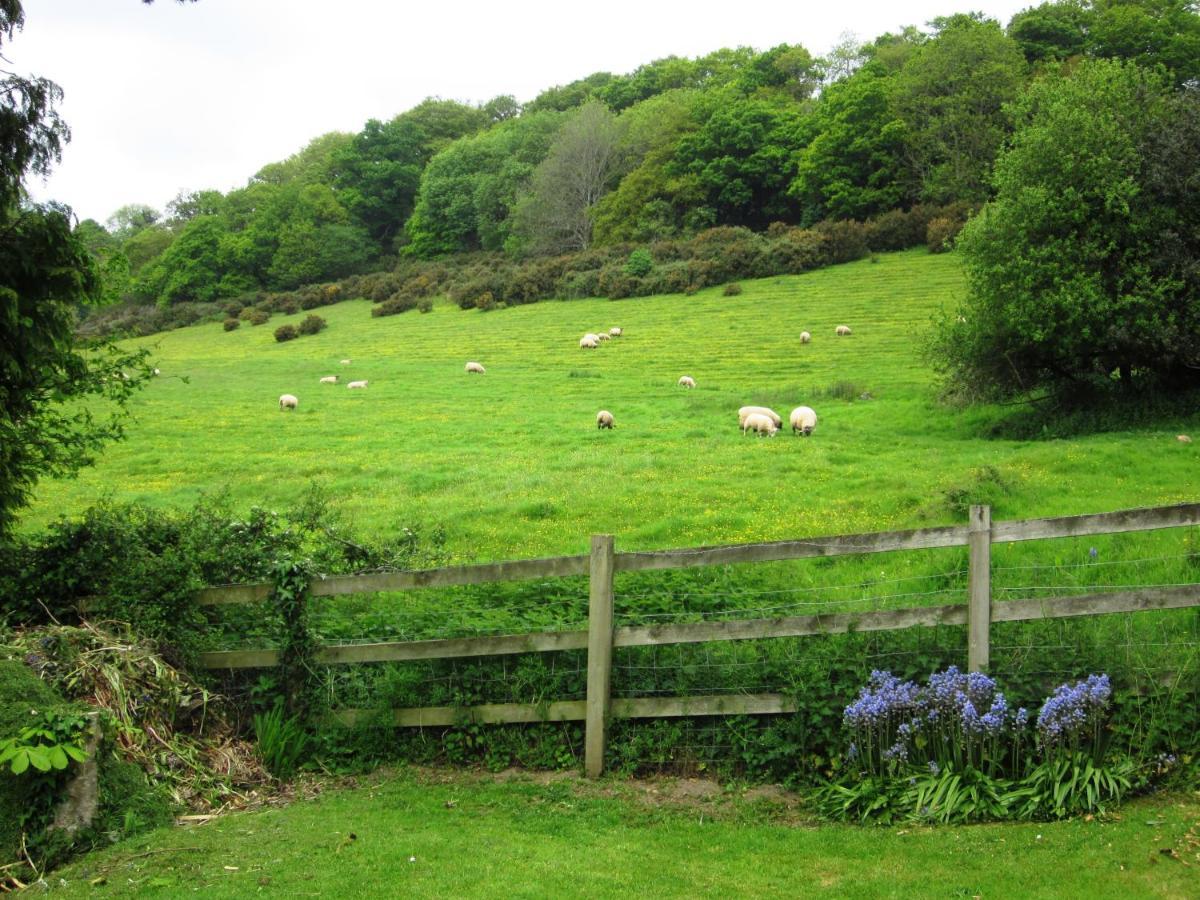 Higher Coombe Bovey Tracey Extérieur photo